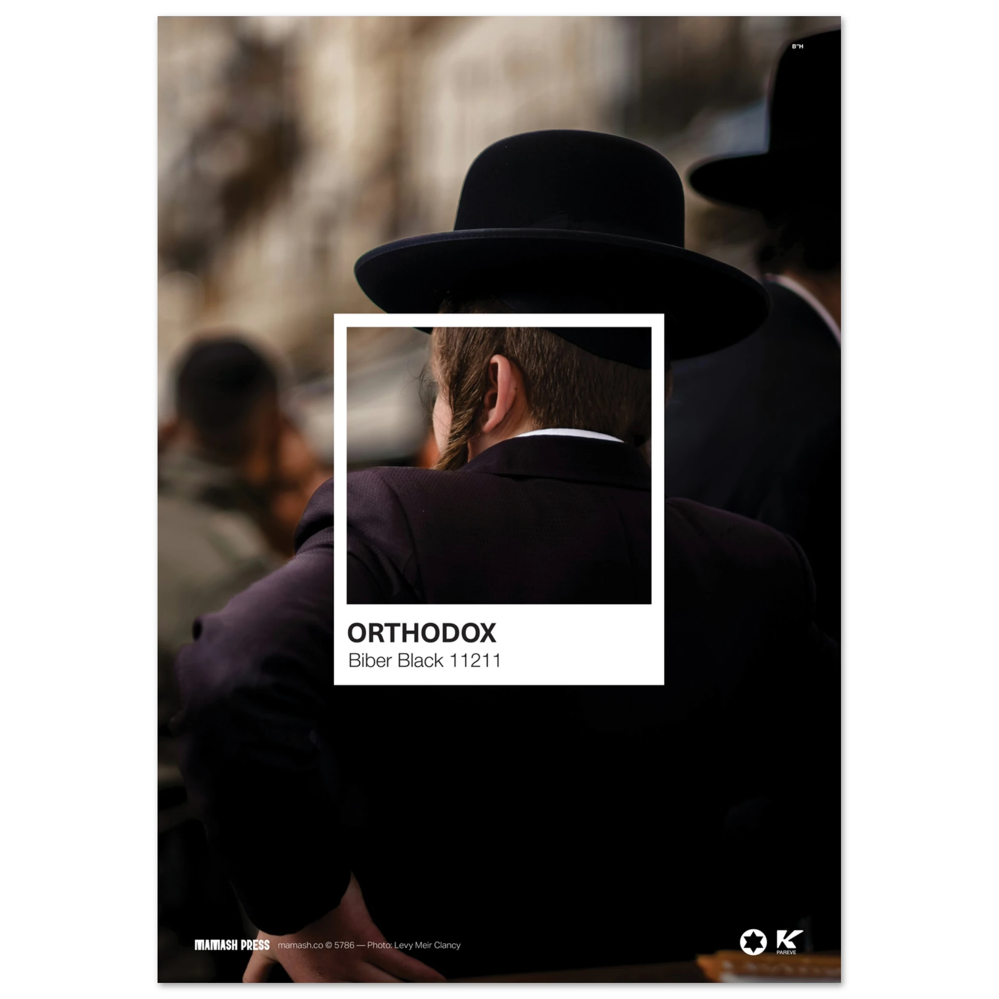 Orthodox — Biber Black Colour Swatch Fine Art Poster